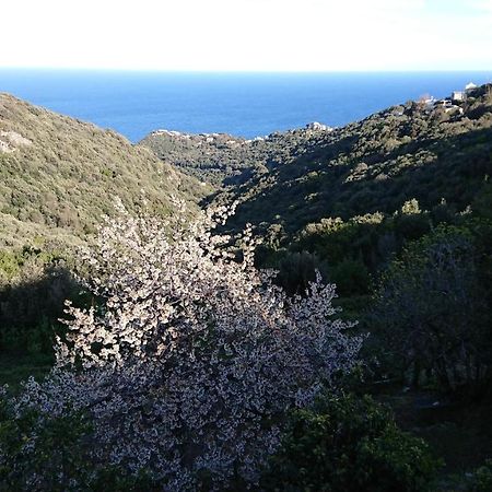 Апартаменты A Tana Di A Volpe Ville-di-Pietrabugno Экстерьер фото